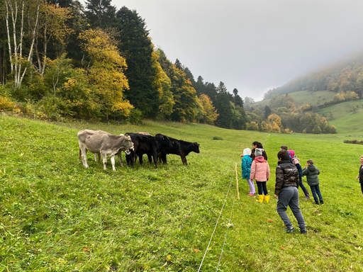 Berghof Rohr Kälbergeflüster