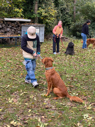 Hundekurs