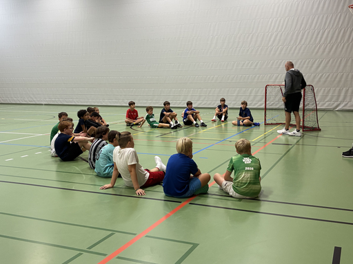 Handball