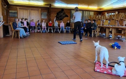 Tierisch sicher im Umgang mit Hunden